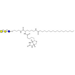 Asialo GM2 Ganglioside oligosaccharide (aGM2) linked to biotin and stearic chain (Linker-BT-STEA A)