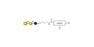 Asialo GM2 Ganglioside...