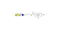 Asialo GM2 Ganglioside oligosaccharide (aGM2) with customizable dual functionalization  -  GA2