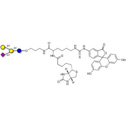 GM2 Ganglioside oligosaccharide analogue linked to biotin and fluorescein (Linker-BT-FLUO A)