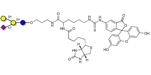 GM2 Ganglioside oligosaccharide analogue linked to biotin and fluorescein (Linker-BT-FLUO A)