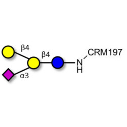 GM2 Ganglioside oligosaccharide analogue grafted on CRM197