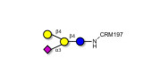 GM2 Ganglioside...