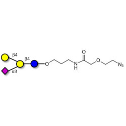 GM2 Ganglioside oligosaccharide analogue with terminal azide (Linker-N3 B)