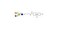 GM2 Ganglioside...