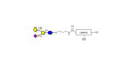 GM2 Ganglioside oligosaccharide analogue with customizable dual functionalization 