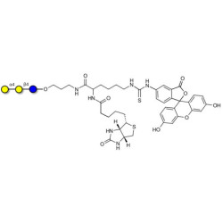 Globotriose (Gb3) linked to biotin and fluorescein (Linker-BT-FLUO A)