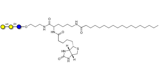 Globotriose (Gb3) linked to biotin and stearic chain (Linker-BT-STEA A) - Pk antigen