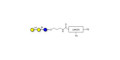 Globotriose (Gb3) with customizable dual functionalization  - Pk antigen
