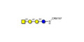Globotetraose (Gb4) grafted on CRM197 - P antigen ; Globo-N-Tetraose