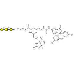 Core type 4 (Gb5 triose core structure) linked to biotin and fluorescein (Linker-BT-FLUO A)