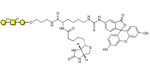 Core type 4 (Gb5 triose core structure) linked to biotin and fluorescein (Linker-BT-FLUO A)