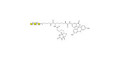 Core type 4 (Gb5 triose core structure) linked to biotin and fluorescein (Linker-BT-FLUO A)