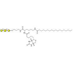 Core type 4 (Gb5 triose core structure) linked to biotin and stearic chain (Linker-BT-STEA A)