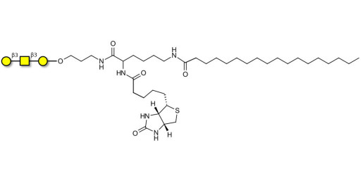 Core type 4 (Gb5 triose core structure) linked to biotin and stearic chain (Linker-BT-STEA A)