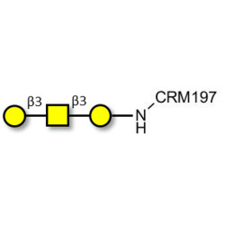 Core type 4 (Gb5 triose core structure) grafted on CRM197