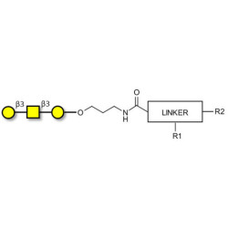 Core type 4 (Gb5 triose core structure) with customizable dual functionalization 