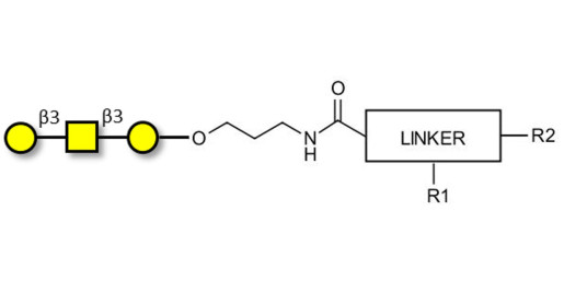 Core type 4 (Gb5 triose core structure) with customizable dual functionalization 