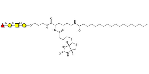 Blood group H antigen tetraose type 4 linked to biotin and stearic chain (Linker-BT-STEA A)