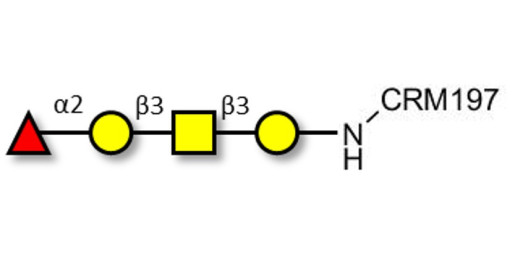 Blood group H antigen tetraose type 4 grafted on CRM197
