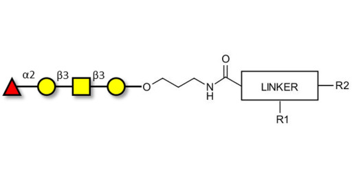 Blood group H antigen tetraose type 4 with customizable dual functionalization 