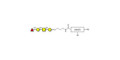 Blood group H antigen tetraose type 4 with customizable dual functionalization 