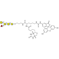 Blood group A antigen pentaose type 4 linked to biotin and fluorescein (Linker-BT-FLUO A)