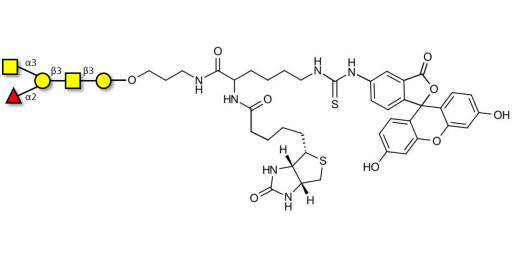 Blood group A antigen pentaose type 4 linked to biotin and fluorescein (Linker-BT-FLUO A) - Blood group A antigen pentaose type IV; Blood group A antigen pentasaccharide type IV; Blood group A antigen pentasaccharide type 4; A-pentasaccharide type 4