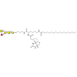 Blood group A antigen pentaose type 4 linked to biotin and stearic chain (Linker-BT-STEA A)
