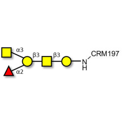Blood group A antigen pentaose type 4 grafted on CRM197