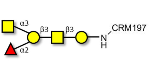 Blood group A antigen pentaose type 4 grafted on CRM197 - Blood group A antigen pentaose type IV; Blood group A antigen pentasaccharide type IV; Blood group A antigen pentasaccharide type 4; A-pentasaccharide type 4