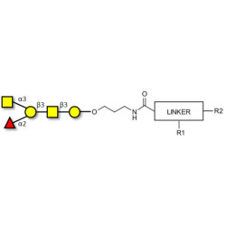 Blood group A antigen pentaose type 4 with customizable dual functionalization 