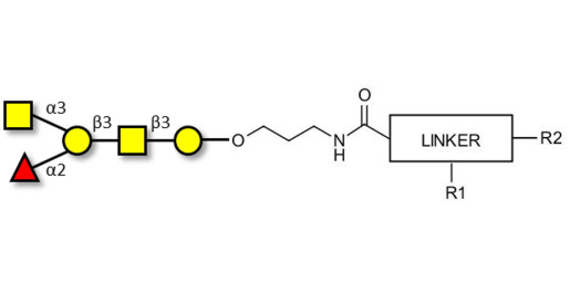 Blood group A antigen pentaose type 4 with customizable dual functionalization  - Blood group A antigen pentaose type IV; Blood group A antigen pentasaccharide type IV; Blood group A antigen pentasaccharide type 4; A-pentasaccharide type 4