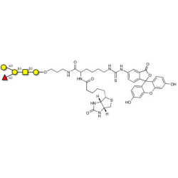 Blood group B antigen pentaose type 4 linked to biotin and fluorescein (Linker-BT-FLUO A)