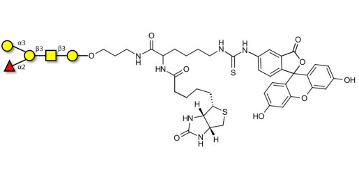 Blood group B antigen pentaose type 4 linked to biotin and fluorescein (Linker-BT-FLUO A)