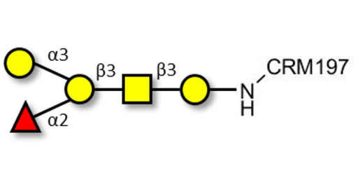 Blood group B antigen pentaose type 4 grafted on CRM197