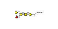 Blood group B antigen...