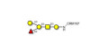 Blood group B antigen pentaose type 4 grafted on CRM197
