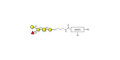 Blood group B antigen pentaose type 4 with customizable dual functionalization 