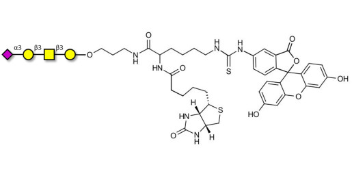 Stage-Specific Embryonic Antigen-4 tetraose (SSEA-4 tetraose) linked to biotin and fluorescein (Linker-BT-FLUO A)