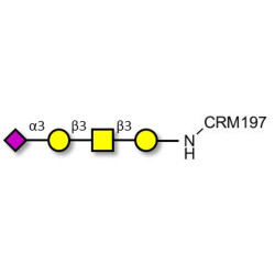 Stage-Specific Embryonic Antigen-4 tetraose (SSEA-4 tetraose) grafted on CRM197
