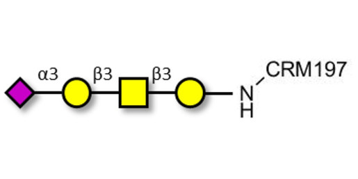 Stage-Specific Embryonic Antigen-4 tetraose (SSEA-4 tetraose) grafted on CRM197