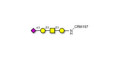 Stage-Specific Embryonic Antigen-4 tetraose (SSEA-4 tetraose) grafted on CRM197