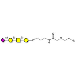 Stage-Specific Embryonic Antigen-4 tetraose (SSEA-4 tetraose) with terminal azide (Linker-N3 B)