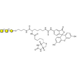 Forssman antigen triose linked to biotin and fluorescein (Linker-BT-FLUO A)