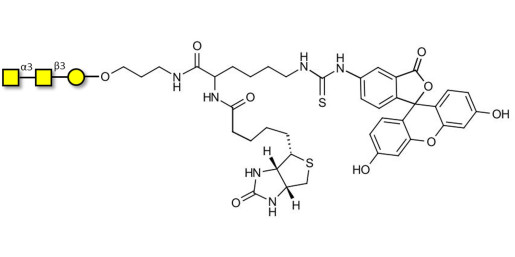 Forssman antigen triose linked to biotin and fluorescein (Linker-BT-FLUO A)