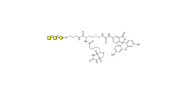 Forssman antigen triose...