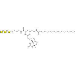 Forssman antigen triose linked to biotin and stearic chain (Linker-BT-STEA A)