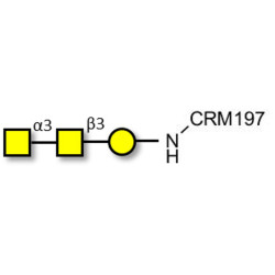 Forssman antigen triose grafted on CRM197