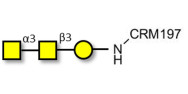 Forssman antigen triose...